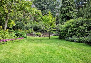 Optimiser l'expérience du jardin à Milhac-d'Auberoche